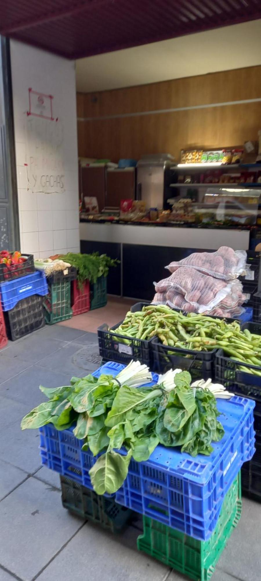 Zoco Almería
